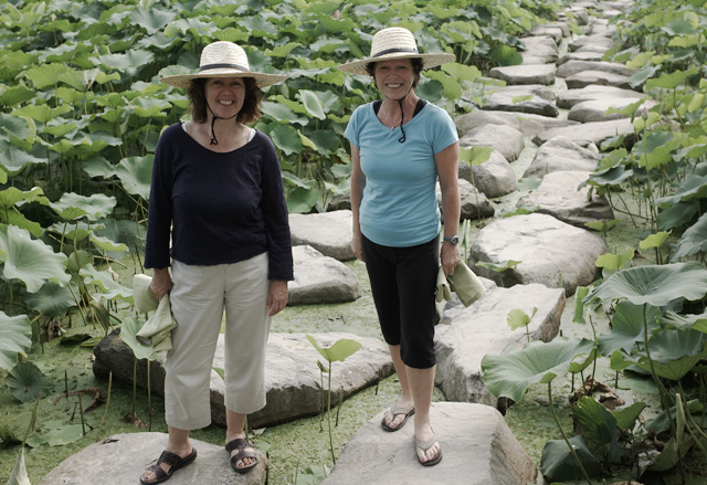 Lotus pond